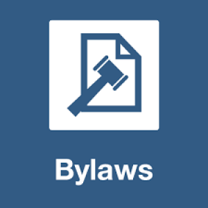 Corporate-Bylaws-300x300.png